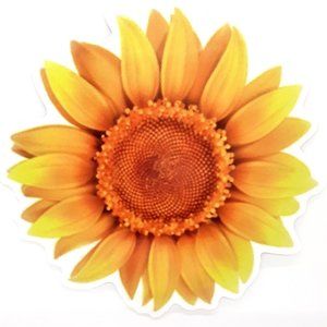 VSCO Stickers 10 for $15